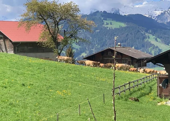 Сasa de vacaciones In Duplex