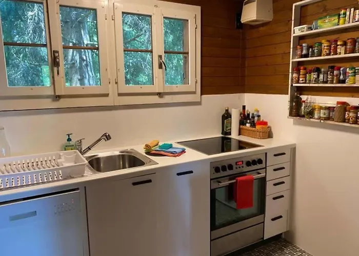 Сasa de vacaciones In Duplex Schönried